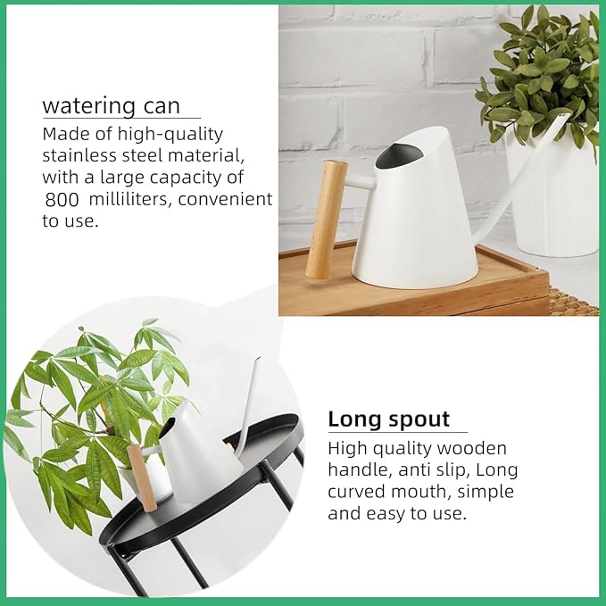 800ml Indoor Watering Can with Long Spout, 28oz Capacity, White Metal with Wood Handle (White-Z2)