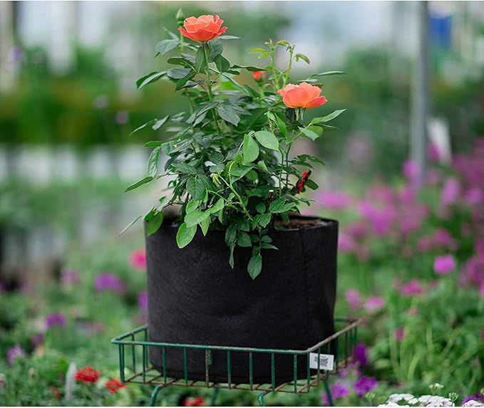 Smart Pots 30-Gallon Smart Pot Soft-Sided Container, Black