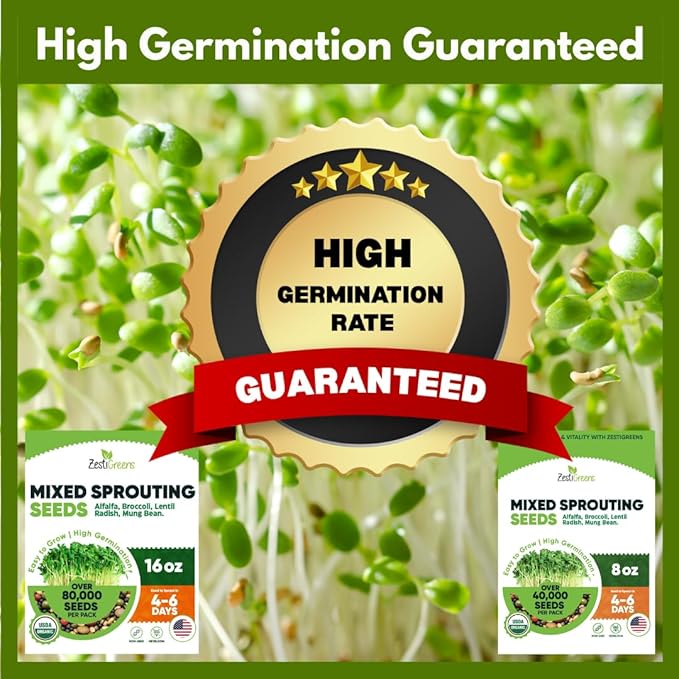 ZestiGreens Fresh Sprouting Seeds Mix (16oz), Fresh Salad Blend - USA Grown Microgreens Mix with Alfalfa, Broccoli, Radish, Mung Bean & Lentil - Over 80,000 Seeds