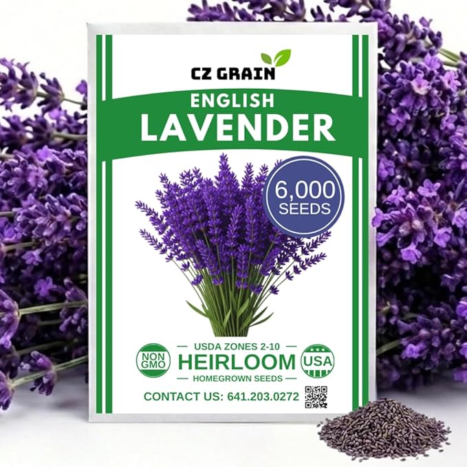 Lavender Seeds for Planting – Heirloom Non-GMO Lavender Flower Seeds – High Germination Rate – Fragrant Purple Perennial Herb for Garden, Indoor & Outdoor Growing (6,000 Seeds)