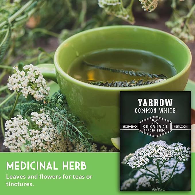 Yarrow Seeds for Planting - White Common Heirloom Medicinal Herb Seeds for Dye & Pollinator Gardens, Easy to Grow Perennial Flowers - Survival Garden Seeds (1 Pack)