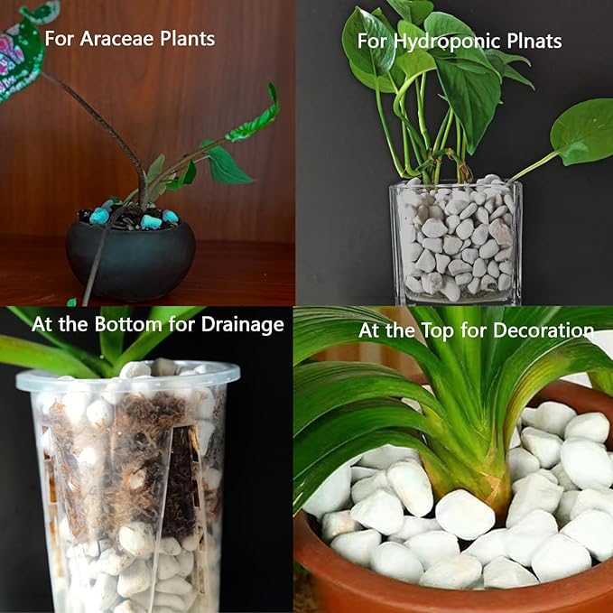 Natural 1-2CM Hard Chunky Perlite 10QT for Plants Horticultural Coarse Organic Pearlite Bulk Potting Mix Garden Soil Amendment for Enhanced Drainage and Ventilation for Orchid, Dendrobium, Araceae