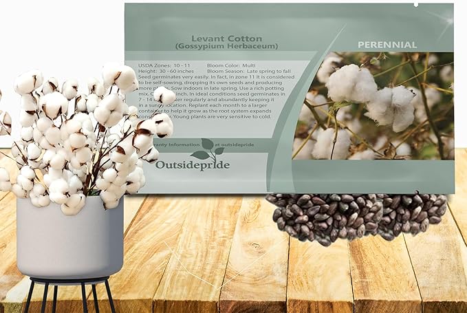Outsidepride Levant Cotton Seeds - 200 Pcs. Perennial, Easy to Grow & Pollinator Friendly, Flower Seeds for Planting Showy, Vibrant Mixed Blooms with Cotton Pods for Shrub Gardens & Versatile Uses