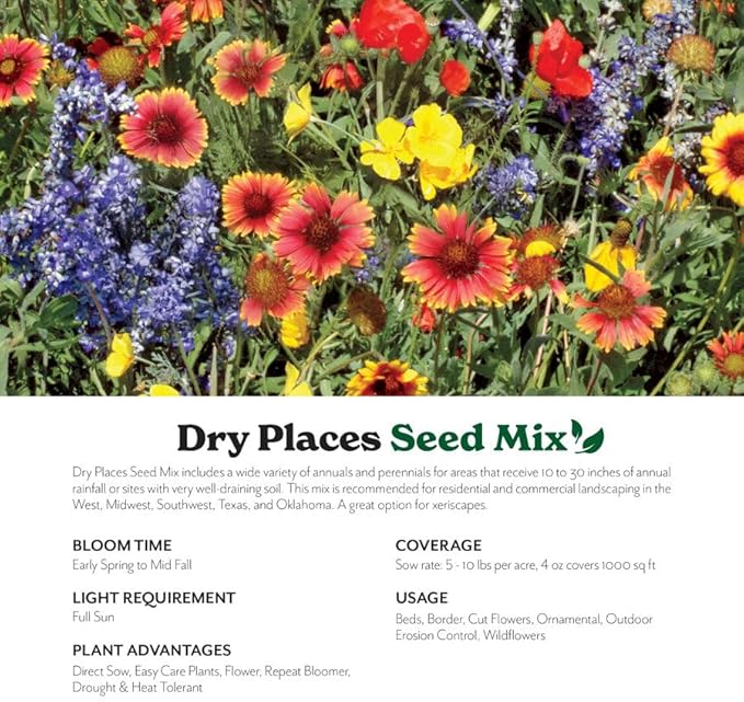 Grow Your Own Vibrant Annual and Perennial Wildflower Garden Mixture, Varieties for Pollinators and Spring Gardens - Dry Places Mix, 10 lbs