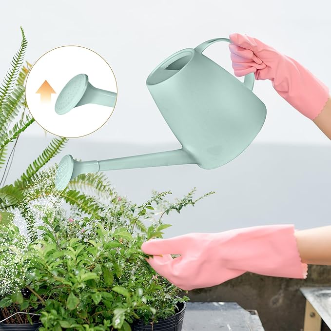 Plant Watering Can - Plastic Indoor and Outdoor - 1/2 Gallon - Green