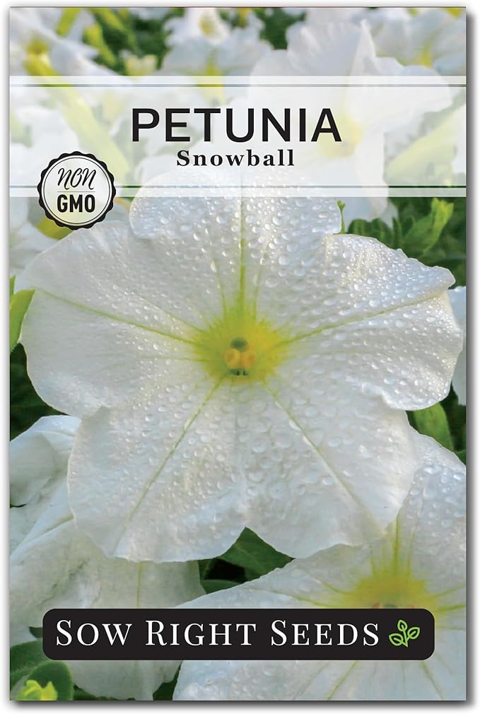 Sow Right Seeds - Snowball Petunia Seeds for Planting Outdoors - Non-GMO Heirloom Variety - Dwarf Flower - Easy to Grow White Petunias - Ideal for Flower Beds, Garden Borders, Containers (1)