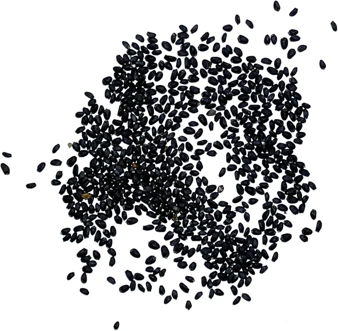 Seed Needs Basil Seeds for Planting Thai Basil Herbs - Non-GMO Heirloom & Untreated Herb Seed to Grow a Fresh Indoor or Outdoor Home Grown Culinary Garden (2 Packs)