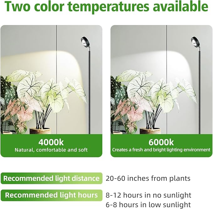 20W Full Spectrum Grow Light, 3000LM High-CRI COB LED Floor Lamp with 6/8/12H Timer, Adjustable Height (28"-83") & Angle, Grow Lights for Indoor Plants, Succulents & Flowers (warm white 4000K)