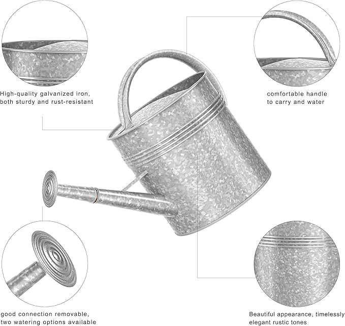 2.5 Gallon Metal Watering Can, Galvanized Watering Can for Outdoor Indoor Plants, Large Water Can for Plants and Garden Flower