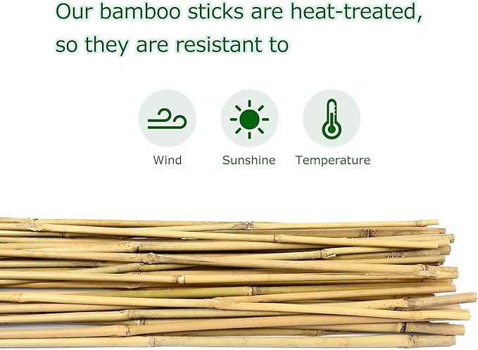 Bamboo Stakes 4ft Natural Plant Stakes for Tomatoes, Beans, Climbing Plants Support - 25 Pack Bamboo Sticks for Plants