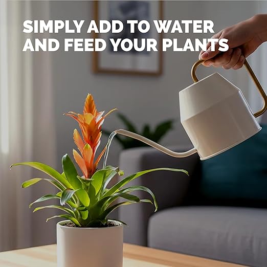 Bromeliad Fertilizer – Liquid Plant Food for Bromeliad Plants, 8 oz