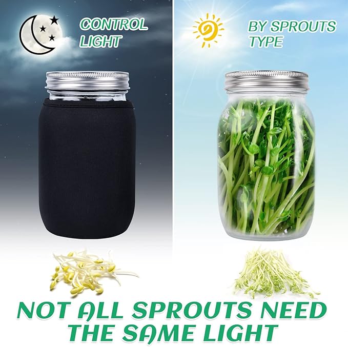 Kikerike Seed Sprouting Jar Kit with 1 Wide Mouth Mason Jars Bean Sprouts Growing Kit Microgreens Growing Jar with Mesh Screen Lids Sprouter Sprouts Maker for Growing Broccoli, Alfalfa, Mung Bean