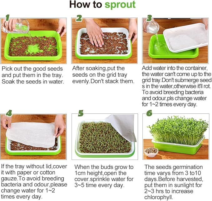 LeJoy Garden Seed Sprouter Tray BPA Free PP Soil-Free Big Capacity Healthy Wheatgrass Grower with Lid Sprouting Kit 13.4x9.84x4.72 inches
