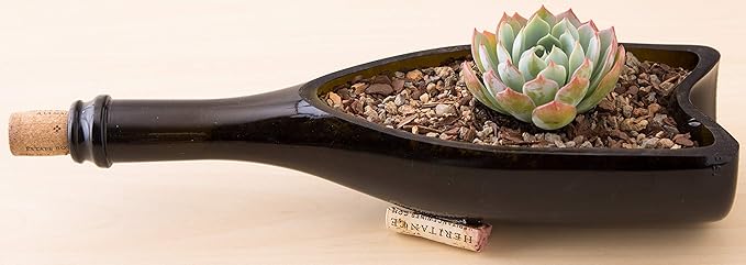 Bonsai Jack Succulent, Cactus and Bonsai Soil - Jacks Gritty Mix - 12 Gallons – Fast Draining – Fight Root Rot – Optimized pH