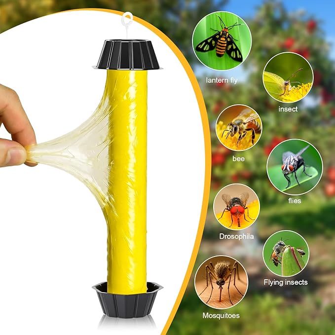 Qualirey 12 Pcs Fly Traps for Indoor Outdoor Hanging Fruit Fly Trap Sticky Mosquito for Home Insect 10 x 2.5 Inches