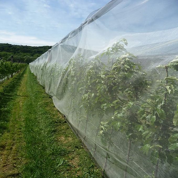 Garden Barrier Netting, Plant Covers 10x10Ft Ultra Fine Mesh Netting Protect for Vegetable Plants Fruits Flowers Crops Greenhouse Row Covers Raised Bed Barrier Screen Birds Animals Protection Net