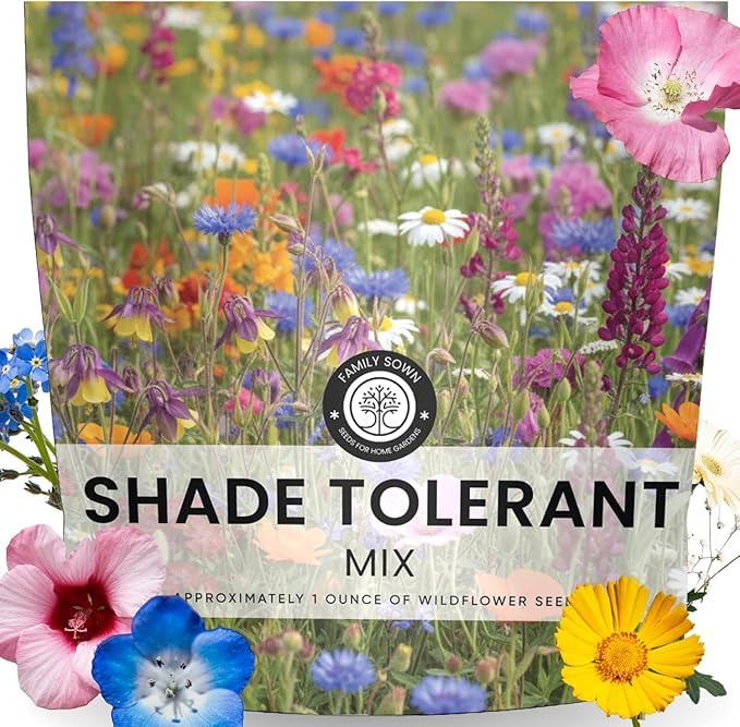 Shade Tolerant Mix – 14,000 Wildflower Seeds for Pollinator Gardens – 2026 Season – 1 Ounce Pouch