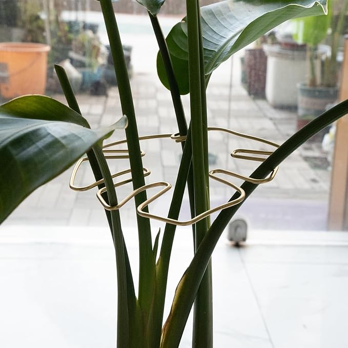 5PCS Plant Stem Support - Durable Monstera Stabilizer Grapple Holder, Unique Design for Climbing Plants, Turtle Shell Bamboo Clamp Set, Ideal Plant Support for Thriving Growth (Gold)