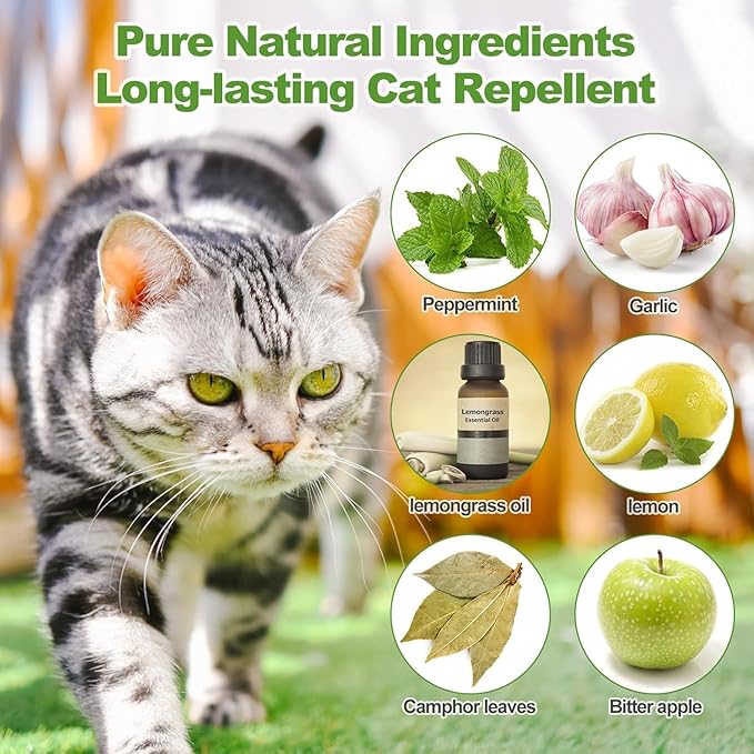 Cat Repellent Outdoor to Keep Cats Away, Natural Peppermint Oil Cat Deterrent Outdoor and Indoor, Keep Cats Out of Yard Permanently, Protect Your Yard and Furniture (Green,10 Count (Pack of 1))