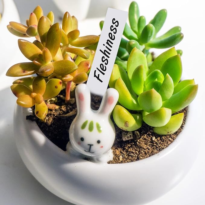 KINGLAKE 300 Pcs 4 Inch Plastic Plant Nursery Garden Labels Pot Marker Garden Stake Tags White with Marking Pen
