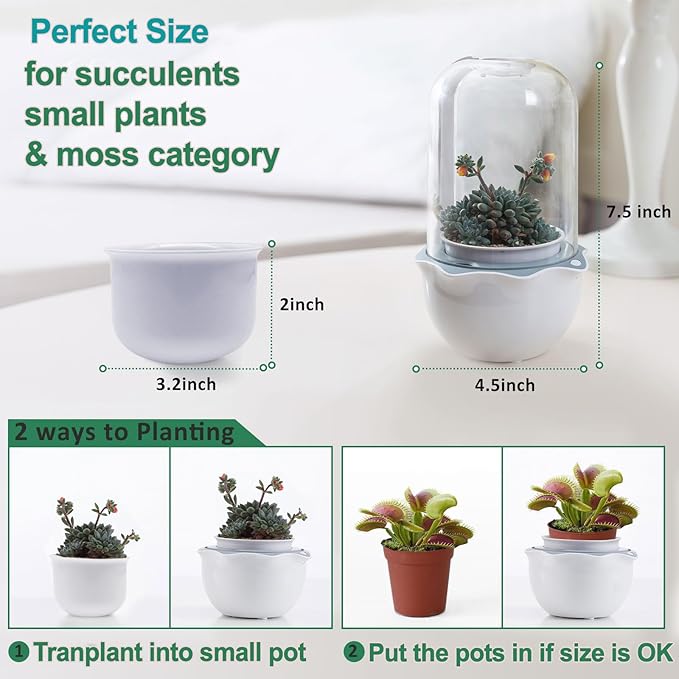 Smart Venus Fly Trap Terrarium Pot with Timer&Fan,Plant Terrarium Kit with Grow Light for Carnivorous,Butterwort, Venus Flytrap,Birthday Gardening for Women Garden Lover-No Plant