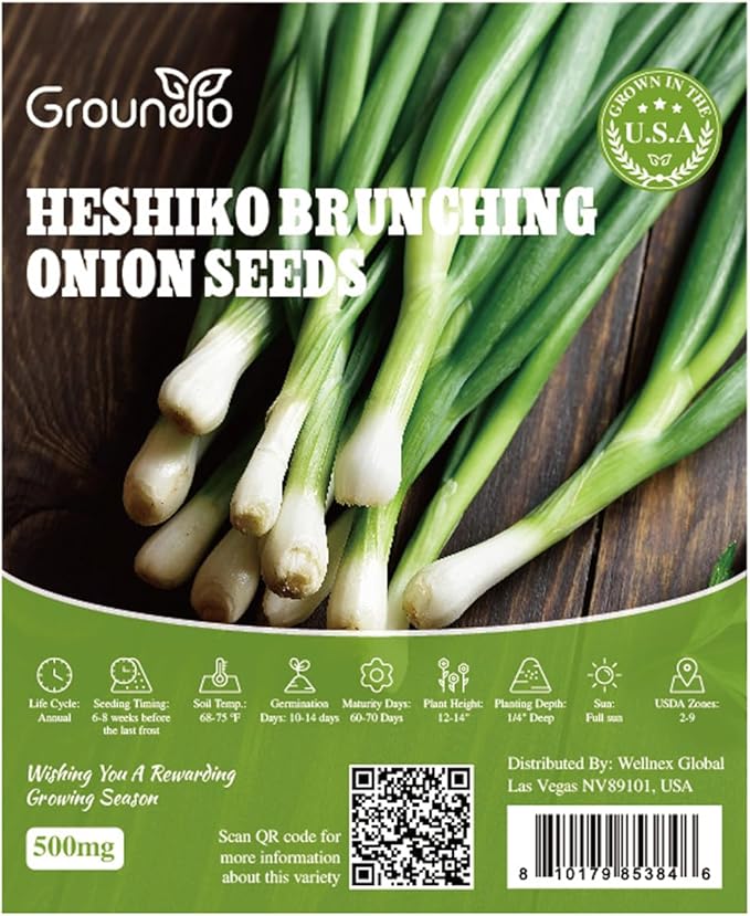 Heshiko Bunching Green Onion Seeds - Non-GMO Heirloom Seeds for Planting Indoor Containers or Outdoor Garden, Instructions Included