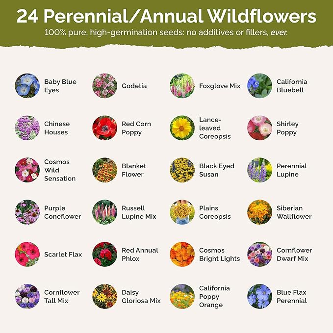 Eden Brothers Pacific Northwest Wildflower Mixed Seeds for Planting, 10 lb, 4,800,000+ Seeds with Cornflower, CA Bluebell | Attracts Pollinators, Plant in Spring or Fall, Zones 3, 4, 5, 6, 7, 8, 9, 10