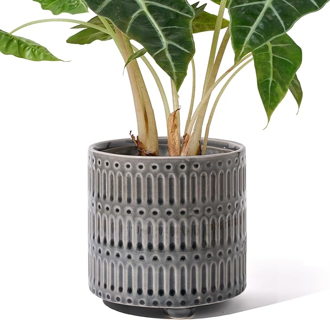 STHIE 5 Inch Ceramic Planters for Indoor Plants, Gray Cactus Snake Plant Pots with Drainage, Unique Design Round Flower Pot for Home Decoration