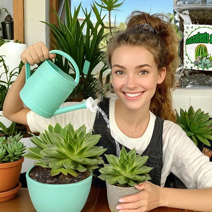 Cactus & Succulent Soil Mix 2qt, Chunky Well-Draining Soil for Indoor Plants - Spike & Bloom