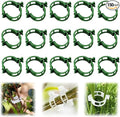 Secured Plastic Plant Clip, 2025 Upgrade Plant Support Clips Reusable Garden Clips, Garden Clips for Climbing Plants, Plastic Trellis Clips Tomato Grape Vine Vegetables Plant Fixing Clips (150, Green)