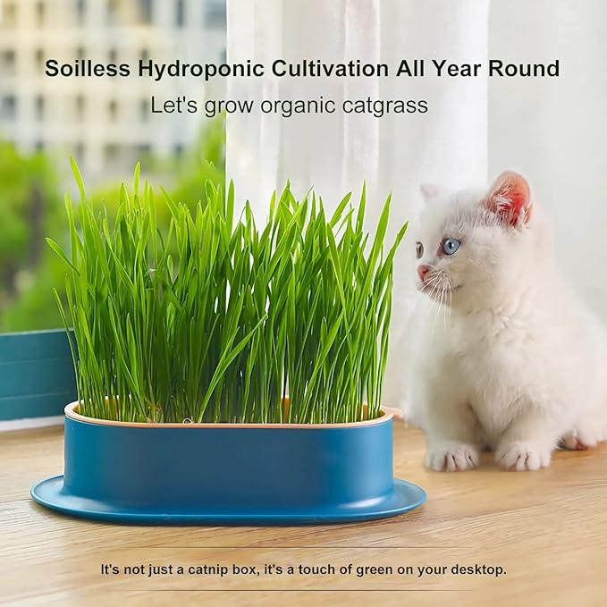2Pcs Cat Grass Planter (No Seeds Included) Wheatgrass Planting Trays Hydroponic Cat Grass Growing Kits for Indoor Cats Soilless Organic Nursery Box Pet Grass Pot (E)