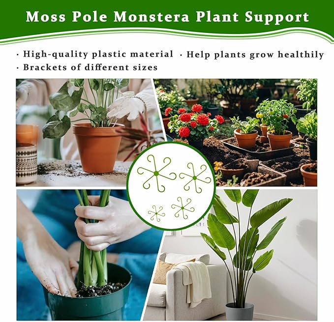 16Pcs 4 Sizes Monstera Plant Support Plant Stem Holders Reusable Plant Stabilizer for Indoor Plants Accessories Garden Tools