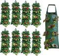 Hanging Strawberry Planter, Durable Thickened Aeration Fabric Grow Bags, Upside Down Vegetable Planter, Patio Garden Container with 8 Planting Holes and Reinforced Handles (9)