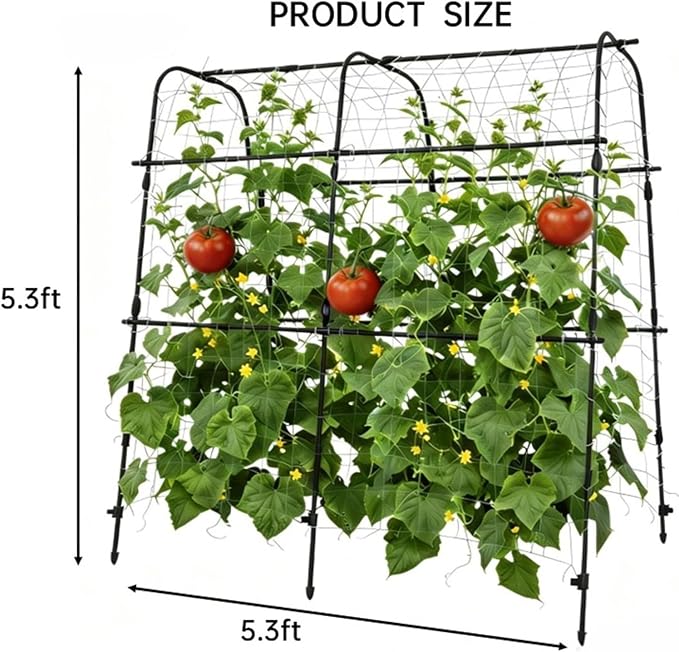 Garden Arch Trellis for Climbing Plants Outdoor, 5.3 ft x 5.3 ft Cucumber & Melon Trellis for Raised Beds, u-Shape Plant Support for Climbing Vegetables, Grapes & Roses, Black