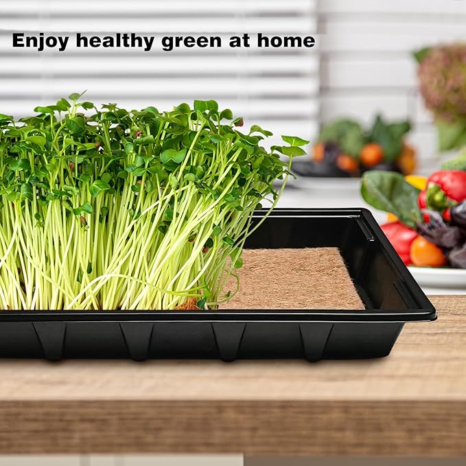 Pack 8 Seed Sprouter Tray with Plant Hemp Fiber Grow Mat,Microgreens Growing Kit for Seedling Wheatgrass Hydroponic,Wheatgrass Sprouting Tray, Greenhouse Seed Starter Trays (5 Pack)