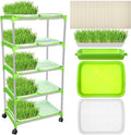 Menkxi 5 Layers Seed Sprout Tray Shelf Microgreens Growing Kit 10 Pcs Healthy Wheatgrass Seeds Grower with Drain Holes and 60 Sheets Germinating Paper for Garden Home Office