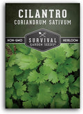 Cilantro Seeds for Planting | Heirloom Non-GMO Coriander Herb | Indoor & Outdoor Garden Growing | Fast Growing, Reliable Harvest – Survival Garden Seeds (1 Pack)