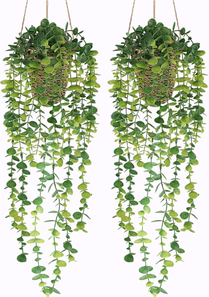 Nisoger Fake Hanging Plant with Woven Basket, 2 Pack Artificial Hanging Plants, Faux Vines Eucalyptus Leaf Hanging Pot Plant for Wall Home Room Indoor Outdoor Bedroom Bathroom Office Decor