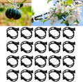 Plant Support Clips Reusable Garden Clips, Secured Plastic Plant Clips, Tomato Support Clips for String Trellis for Climbing Plants Outdoor Indoor Plant Flowers Stem Vine Fixing Clips (50, Black)
