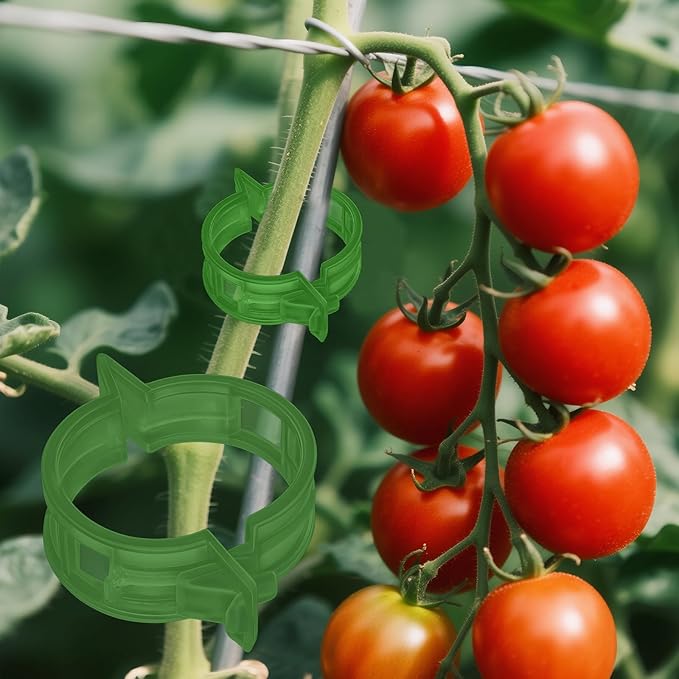 100pcs Tomato Clips for Climbing plants, Plastic Trellis Plant Support Clips for Garden, Reusable Clips for Supporting Grape Tomato Vine and Vegetables Plants to Grow Upright Makes Plants Healthier