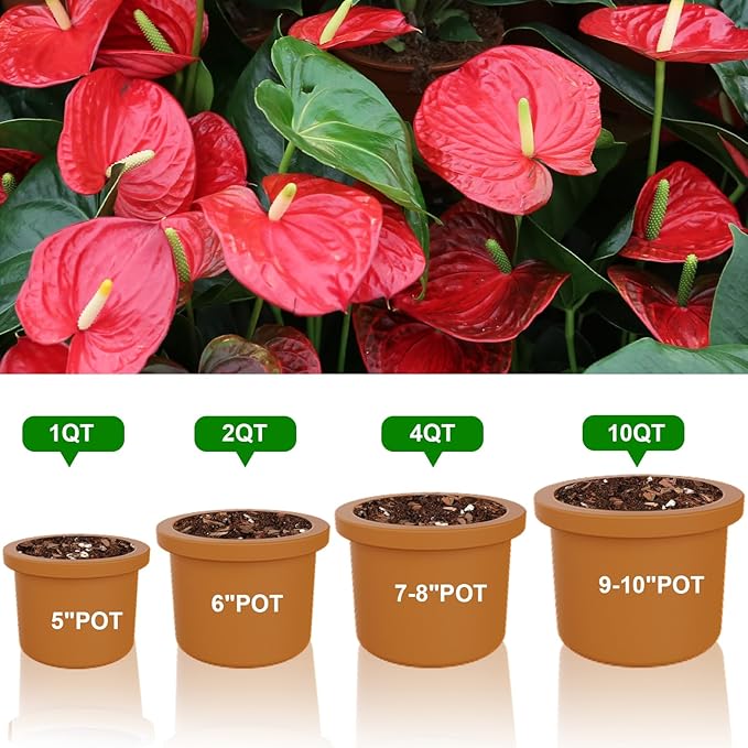 Doter All-Natural Potting Soil for Anthurium & Indoor Plants 1qt - Enhanced Drainage, No Additives | Premium Indoor Plant Soil Mix