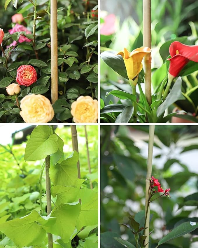 Natural Bamboo Plant Stakes (3ft-50pcs)