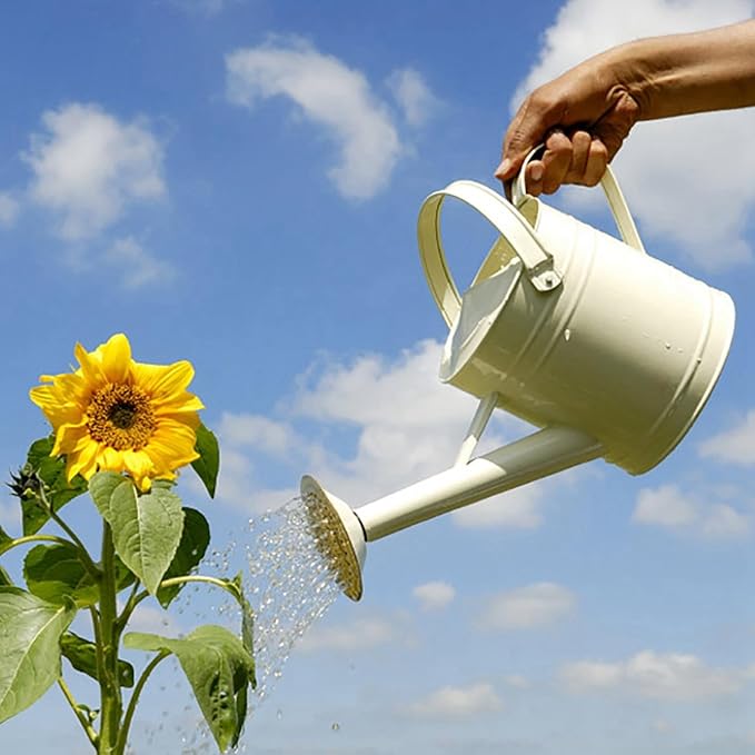 Tinplate Watering Kettle, 1L Metal Garden Watering Can, Vintage Sprinkling Can for Flowers, Indoor & Outdoor Plants, Lawn & Garden Irrigation Tool (White)
