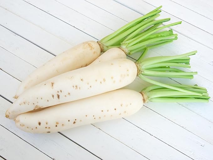 Japanese Daikon Radish Seeds for Planting - 100 Heirloom Non GMO Seeds - Full Planting Instructions to Plant & Grow a Home Vegetable Garden - Great Gardening Gift, 2 Packets