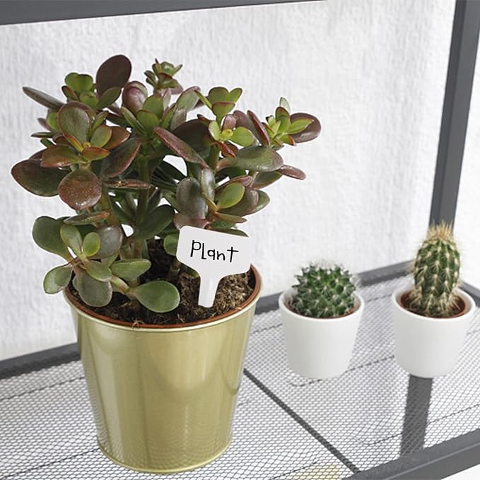 Foraineam 500 Pcs 6 x 10cm (2.4 x 4 inch) T-Type Plant Labels Plastic Plant Tags Nursery Garden Labels