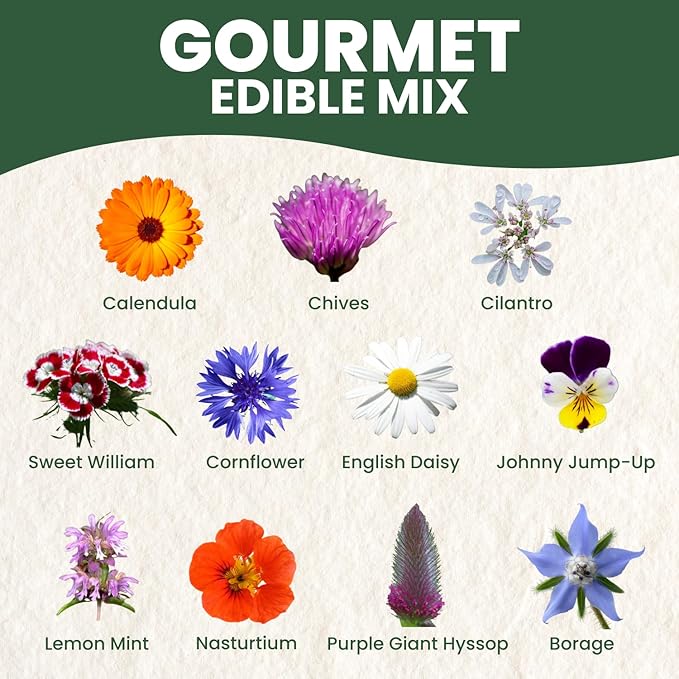 Gourmet Edible Mix – 22,000 Premium Seeds for Planting – Fresh Culinary Flowers & Herbs – 2026 Season – 4 Ounce Pouch