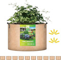 iPower 20 Gallon 10 Pack Grow Bags Nonwoven Fabric Pots Aeration Container with Strap Handles for Garden and Planting, 10-Pack Tan, 20 Gallon