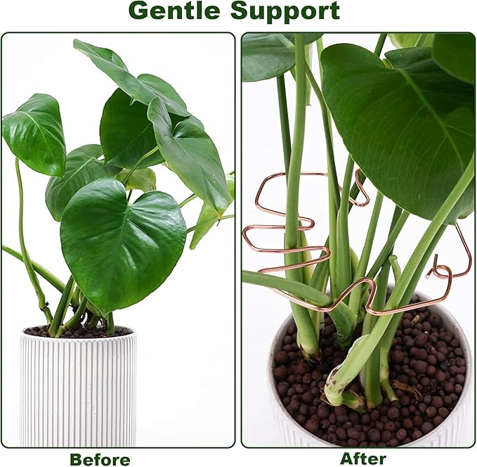 6PCS Monstera Plant Stem Support, Monstera Stabilizer Grapple Holder Unique Design for Turtle Shell Bamboo Clamp Set, Ideal Plant Support Stakes for Thriving Growth Indoor Climbing Plant (Copper)