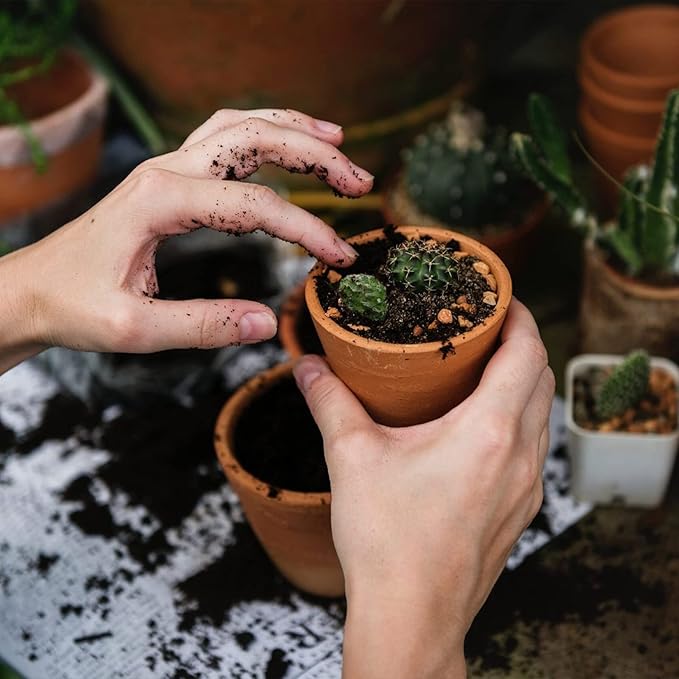 Doter Succulent and Cactus Soil Potting Mix 2.2 LBS, Bonsai Soil Mix Ready to Use, Fast Draining with Added Nutrients