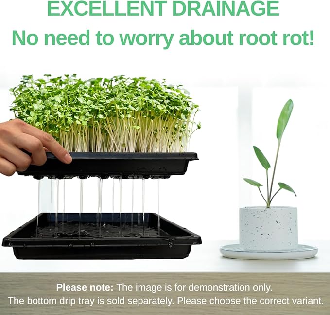 Plant Growing Trays for Seedlings Microgreen Seed Starter Shallow Plants Tray Standard 1010 Tray with Drain Holes 10 Pack Black 10.7 x 10.7 inches Square Trays